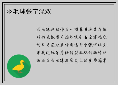 羽毛球张宁混双