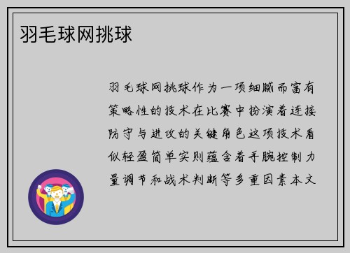 羽毛球网挑球